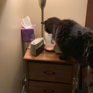 Meet your Posher, Mindy